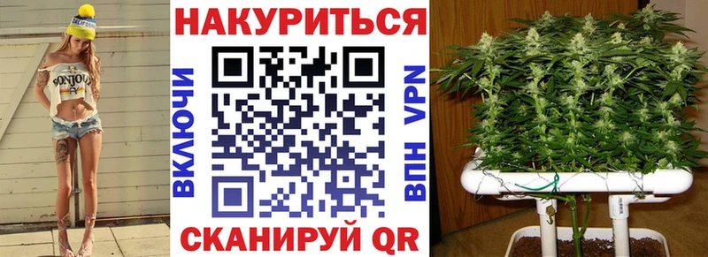 Купить  Ачхой-Мартан  Канабис марихуана 